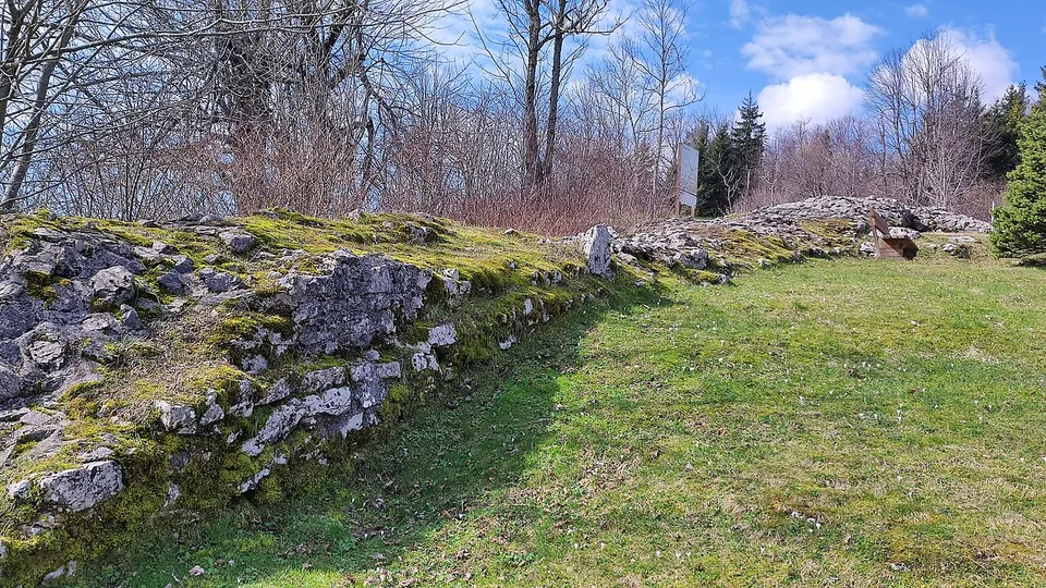 Close view of a low wall of rough, lichen-covered limestone blocks turning a corner across a meadow, with moss on its top and bare trees beyond.