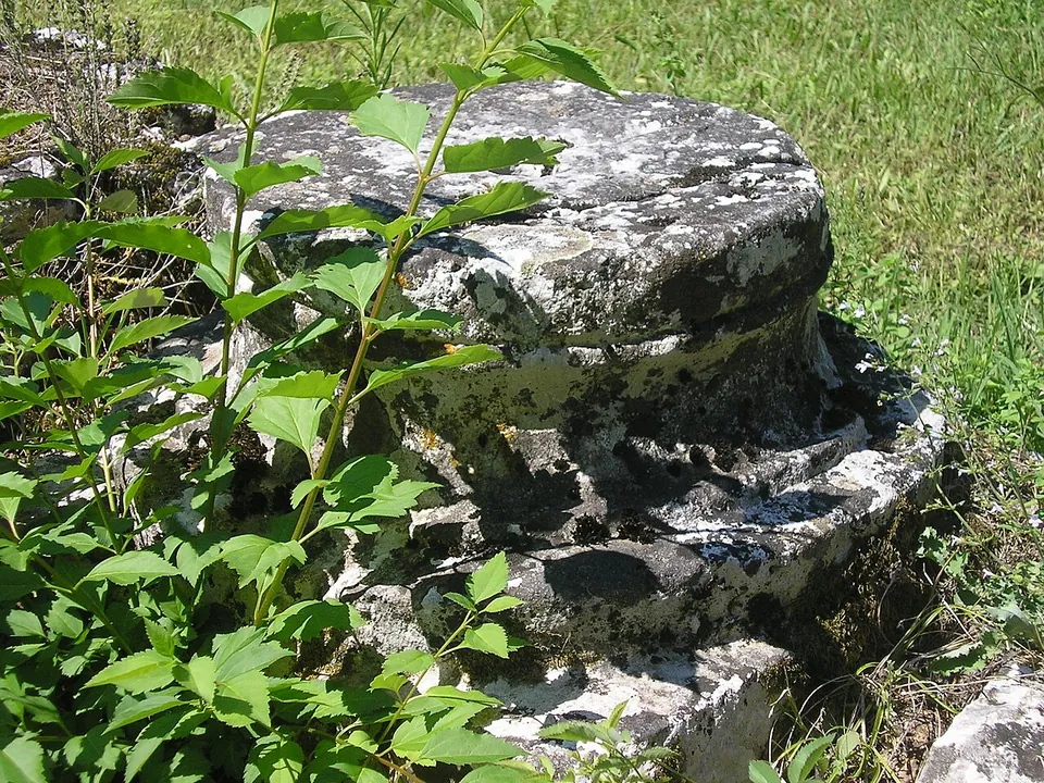 A weathered, lichen-covered stone column base with moulded rings, half hidden by green leaves.